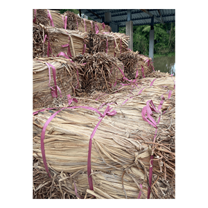 MATERIAL DE JACINTO DE AGUA PARA TEJER PRODUCTO DE MUEBLES/PAQUETES DE AGUA SECA JACINTO DE AGUA EICHHORNIA CRASSIPES RAÍZ - Product Image 2