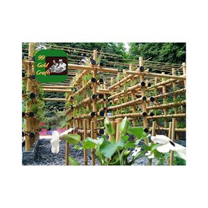 TUBOS DE POLO DE BAMBÚ NATURAL DE PRIMERA CALIDAD PARA MUEBLES DE CONSTRUCCIÓN Y DECORACIÓN DE JARDÍN AL POR MAYOR DE VIETNAM - Product Image 3