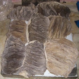 Bulk <b>Dry</b> Salted and Frozen Whole <b>Beef</b> <b>Omasum</b> - Product Image 2