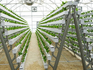 Banc roulant hydroponique EBB-Système efficace d'inondation et de drainage pour l'agriculture hydroponique - Product Image 5