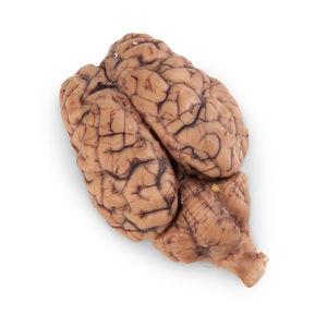 Meilleure vente 100% Cerveau de boeuf naturel - Product Image 5