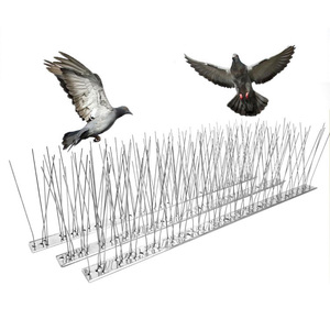 Bandes de <span class=keywords><strong>pigeon</strong></span> <span class=keywords><strong>anti</strong></span>-oiseau en acier inoxydable Petits pigeons <span class=keywords><strong>anti</strong></span> oiseaux Arrêt de clôture Nid de pigeons - Product Image 5