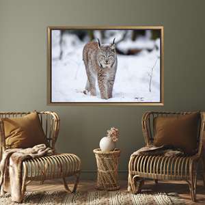Impression sur toile en verre trempé élégante Lynx Cat - Décoration animale hivernale, toile encadrée dorée - Product Image 1