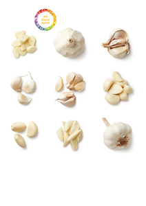 Ail frais de haute qualité soigneusement sélectionné et emballé pour l'exportation et la vente en gros - Product Image 4