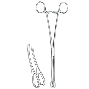 Fórceps de hisopo de algodón Foerster de acero inoxidable de alta calidad, fabricante de instrumentos quirúrgicos curvos lisos de 20cm / 8 pulgadas - Product Image 3