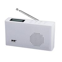 DB-26 Portable DAB +/DAB/FM Radio mit 1200mAH Akku im Inneren
