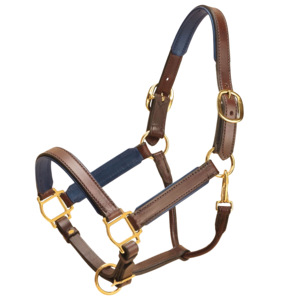 Premium Brown Leather Horse Halter with Navy Blue Soft Cowhide Padding & Brass Fittings Quality Tack Leather Halter