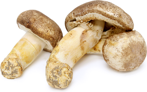 Nature Restore Agaricus Blazei Murill Natural 20% 50% Polisacáridos Agaricus Blazei Muril Agaricus Blazei Extracto ÁNGULO - Product Image 2