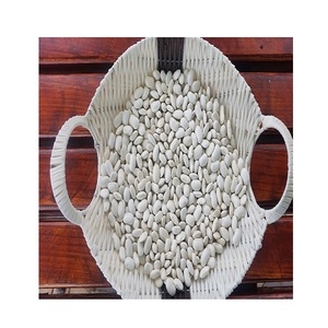 Haricots blancs longs secs de haute qualité emballage en vrac en gros prix discount chaud maintenant - Product Image 6