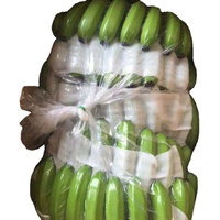 Bananas Cavendish Frescas al por Mayor, Color Verde-Morado, 100% Puras, Origen Tailandia, 13 kg, 24 Días de Duración, Delicioso Sabor Dulce