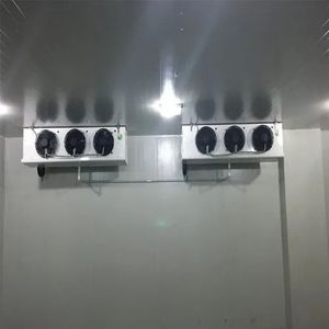 Chambre froide pour ferme et restaurant avec compresseur Copeland et contrôle automatique - Neuf - Product Image 4