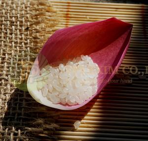 ข้าวญี่ปุ่นทรงกลมคุณภาพสูงซูชิคาลโรส์จากเวียดนามขายส่ง25กก. ถุง HACCP ISO - Product Image 2