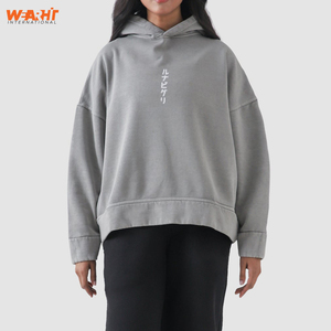 Sweat à capuche surdimensionné imprimé personnalisé 100% coton mélangé basique unisexe Streetwear pull sweat pour l'hiver broderie 3D - Product Image 6
