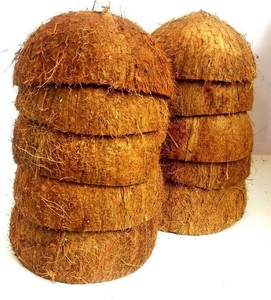 Material de Cáscara de Coco Cruda, Fibra Natural para Gestión de Residuos, 100% Pureza, Estado Sólido para Tratamiento de Agua y Agricultura - Product Image 1