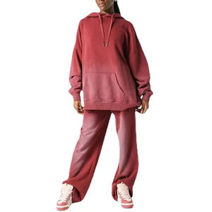 100% coton coréen français Terry doux Streetwear sweats à capuche amples pour dames luxe 500 GSM haute qualité hiver printemps haut à capuche - Product Image 4