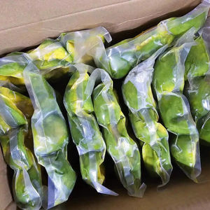 Aguacate congelado premium: IQF mitades, dados y trozos para exportación, suministro a granel, mejor precio de Vietnam. - Product Image 1