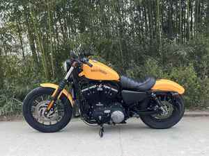 Best Selling Davidson Iron 883 XL883N Belt Drive Reliable Cruiser V-Twin <b>Engine</b> Cruiser Motorcycle - Product Image 6
