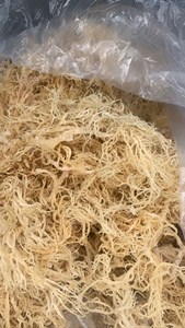 Musgo Marino de Vietnam |   Suministro a Granel de Ingredientes Secos y Sazonados |   Procesamiento de Grado de Exportación |   Bolsa de 25kg-50kg |   Listo para Usar - Product Image 5