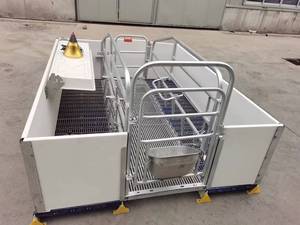 Caisse de mise bas nouvelle condition pour truie garantie 1 an équipement d'élevage de porcs système d'enclos de décrochage - Product Image 3