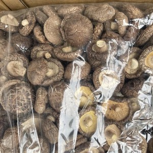 Champignon Shiitake avec bon goût Usine Pieds Shiitake du fournisseur du Vietnam Grande quantité de champignon Shiitake - Product Image 6