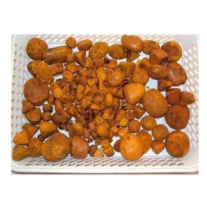 แพะ bezoar-นิ่วธรรมชาติสำหรับขาย - Product Image 4