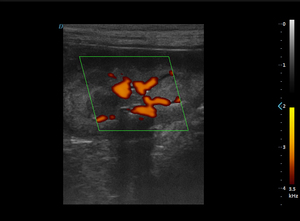 Dawei-equipo veterinario de ultrasonido equino Animal, precio para cabra con sondas múltiples - Product Image 6