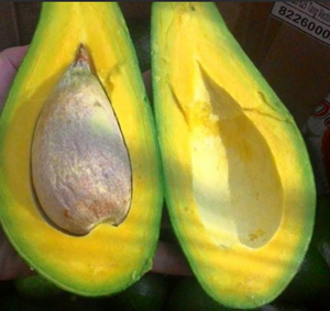 Aguacate congelado de Vietnam Premium | Gran sabor, gran valor | Ideal para exportar a los mercados asiáticos y de la UE - Product Image 5