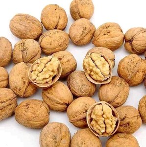 Quả Óc Chó Chất Lượng Tốt Nhất Bán Quả Óc Chó Thực Phẩm Lành Mạnh Tự Nhiên 100% Chất Lượng Tốt Có Sẵn - Product Image 5