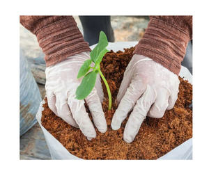 En tant que ressource organique et renouvelable, la tourbe de coco constitue une excellente alternative à la mousse de tourbe traditionnelle, contribuant - Product Image 3