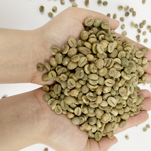 Approvisionnement du Vietnam Vente chaude 96% Maturité Robusta Grains de café vert Amertume et caféine Emballage personnalisé Variété comprend Arabica - Product Image 4