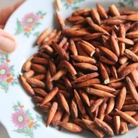 Graines de Terminalia Catappa de la marque Blue Lotus de qualité supérieure, modèle Gem Le 2026, avec une durée de conservation de 2 ans et des ingrédients frais