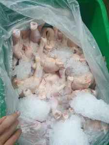 Poitrine de poulet halal congelée et poulet congelé - Product Image 4