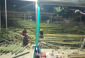 Gran tamaño agricultura medio poste de bambú gran listón de bambú split moso férula de bambú/bambú dividido verde/amarillo - Product Image 5