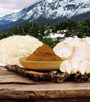 Poudre d'extrait pur de champignon crinière de lion, complément naturel pour stimuler le cerveau, la mémoire, la concentration, la santé cognitive, la clarté mentale et le système immunitaire