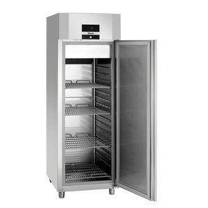 Congélateur et Réfrigérateur Commercial 700 GN210 - Product Image 1
