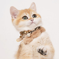 Collier de luxe 3D en forme de tournesol, souple, respirant, durable, écologique, pour chats et chiens, en cuir PU, avec boucle réglable