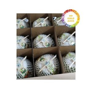 <b>Fresh</b> Young <b>Coconut</b>, Premium Quality, Sweet And Juicy, Perfect For Smoothies, Natural Hydration, Great Taste, Best Price - Product Image 6
