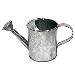 Arrosoir Pommeau de douche solide Arrosoir de forme ovale classique Style unique Finition brillante Arrosoir de jardin - Product Image 6