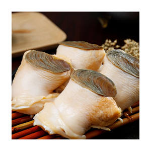 Livraison rapide Conch de fruits de mer congelés transformés et emballés sous contrôle de qualité strict - Product Image 1