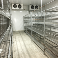 Chambre de culture de champignons modulaire intelligente en conteneur de 40 pieds avec isolation PIR pour la production agricole à distance de cultures spécialisées