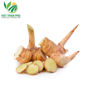 Chất Lượng Cao Đông Lạnh Galangal/Galangal 100% Tự Nhiên Gừng Rau Tươi Iqf Chế Biến Giá Thấp Từ Việt Nam - Product Image 3