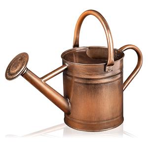 Arrosoir classique en métal à long bec avec finition en cuivre poli idéal pour un décor élégant de jardinage et de soin des plantes - Product Image 1