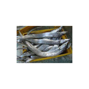 Pescado Fresco de Cinta, Captura Natural, Proteína Saludable - Product Image 1