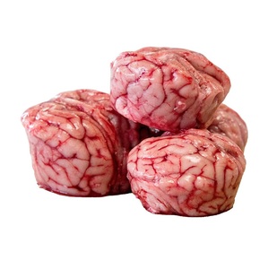 Cerebro de Cerdo Entero Congelado Premium |   Suministro al por Mayor Disponible - Product Image 1