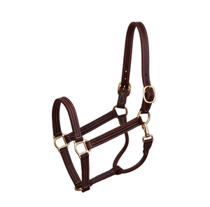 Professional Folded Leather Show <b>Halter</b> - Product Image 5