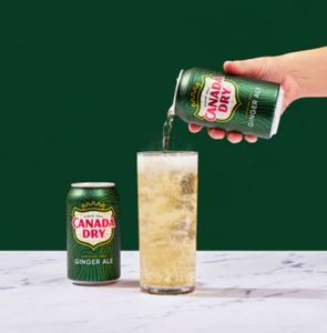 Canada Dry Ginger Ale, Refresco Carbonatado Clásico y Refrescante, Suministro al por Mayor - Product Image 3