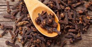 Gousses séchées de haute qualité de Belgique Fournisseur en gros d'épices Forme de granule traitée brute au prix d'exportation Gousses séchées - Product Image 3