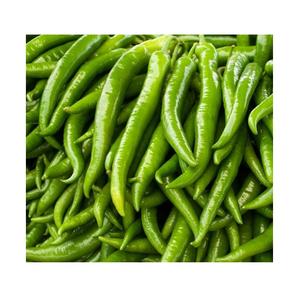 fresh green chili | fresh vegetables supplier from france