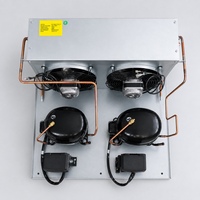 Nouvelles unités de condensation à compresseur frigorifique économe en énergie avec commande automatique 110V 1/3HP R410A pour les applications domestiques, commerciales et marines