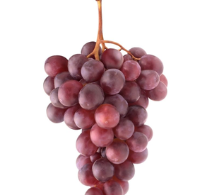 Prix de gros sur Raisins verts frais biologiques sans pépins Nouvelle récolte disponible-Meilleur Prix! Achetez maintenant! - Product Image 6